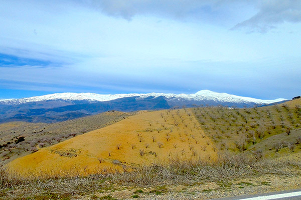 Higher-Sierra-Nevada-surrounding-areas